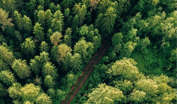 Sustainability